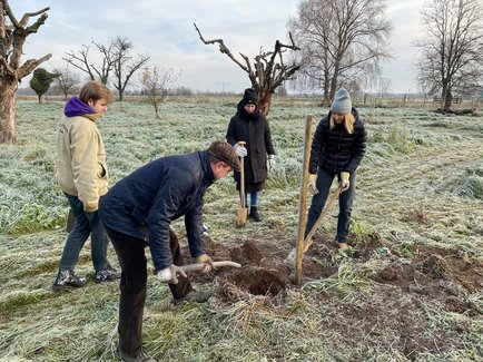 Fotos der Baumfplanzaktion der Erdgas Südwest