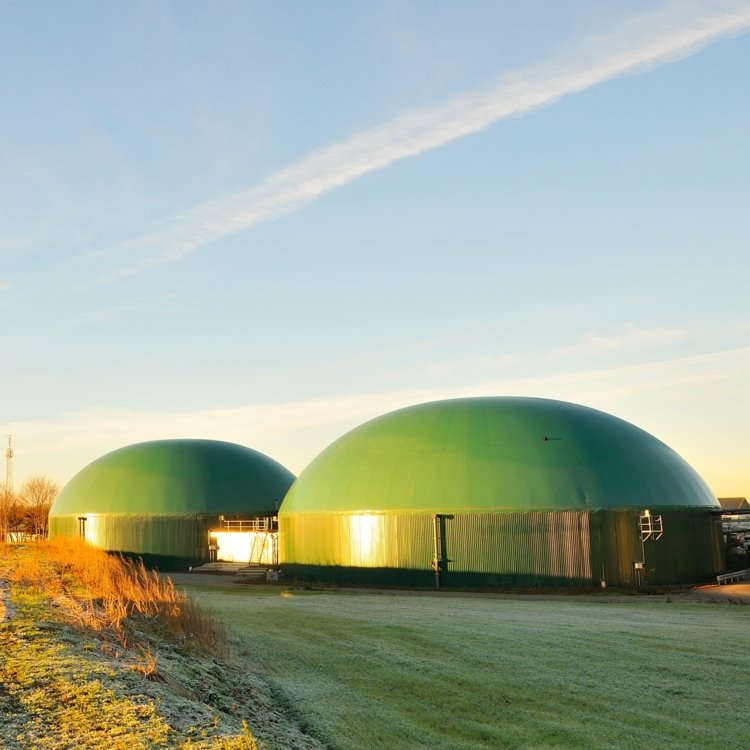 Außenaufnahme einer Biogasanlage