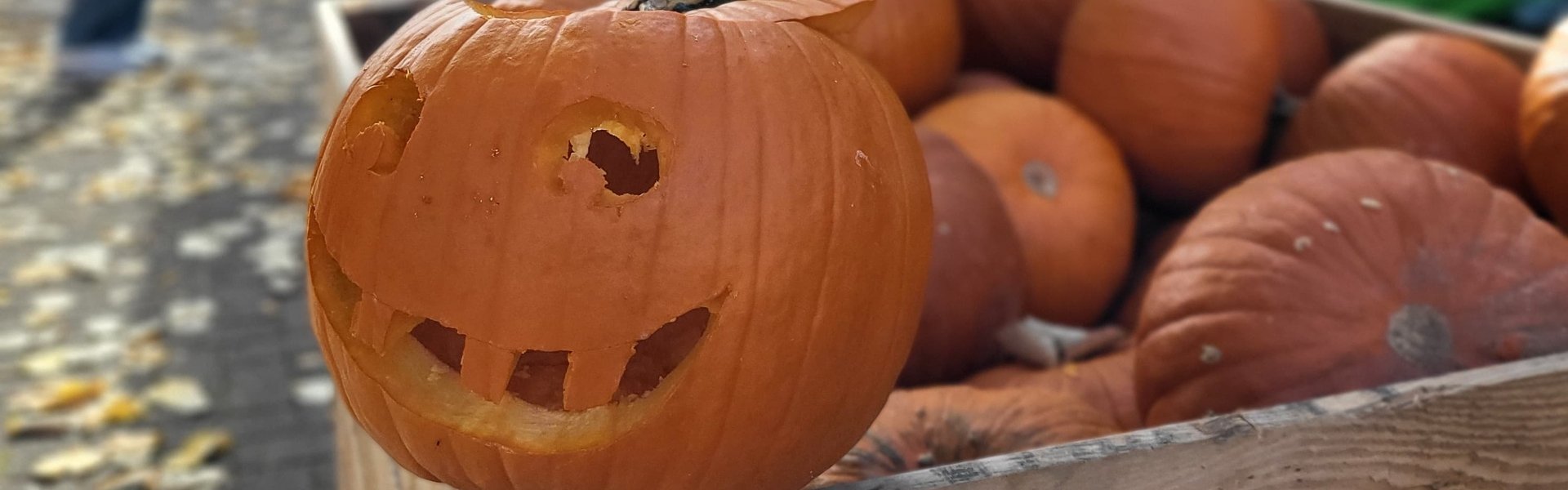 Halloween Kürbis vor dem Stand der Initiative ProNatur der Erdgas Südwest beim Naturparkmarkt in Kürnbach