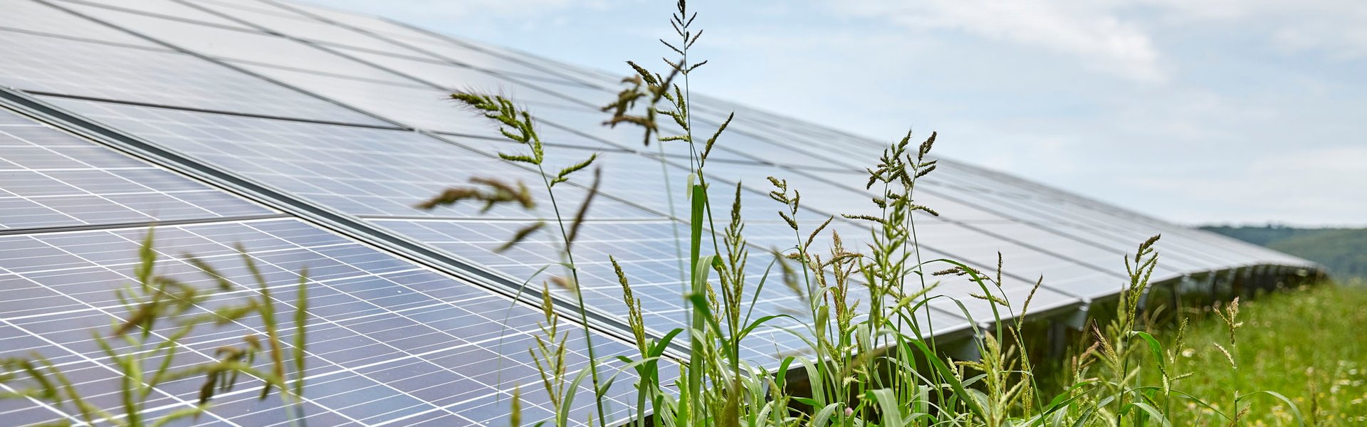 Solarmodule der Anlage in Malsch