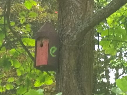 Ein an einem Baum befestigter Nistkasten der Erdgas Südwest.