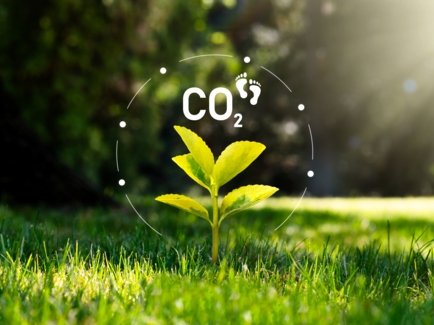 Der ökologische Fußabdruck beschreibt die CO2-Emissonen eines Einzelnen oder Unternehmens.