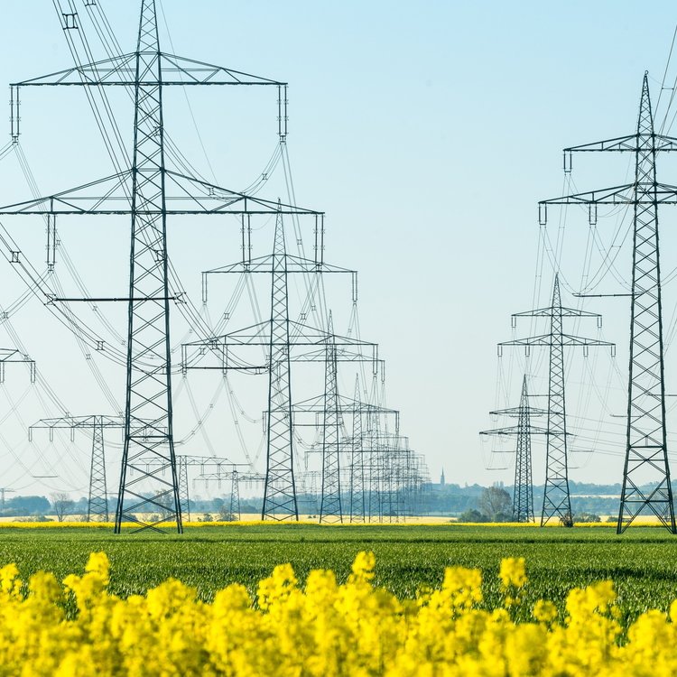 Stromleitungen und Strommasten, die über einen blühenden, grünen Acker führen