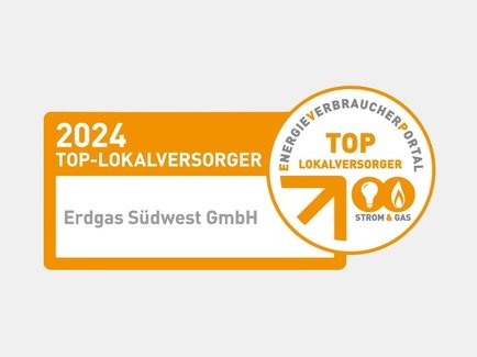 Erdgas Südwest wurde als Top Lokalversorger 2024 im Bereich Strom und Gas ausgezeichnet