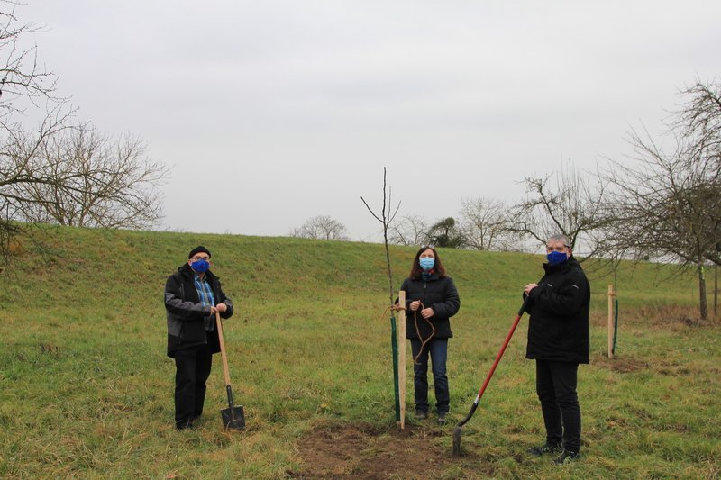 Baumpflanzaktion in Dettenheim