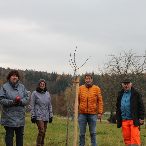 Zu sehen sind Helfer und Mitarbeiter der Erdgas Südwest beim Pflanzen eines Baumes