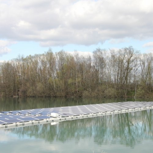 Schwimmende Photovoltaik auf See mit Bäumen im Hintergrund