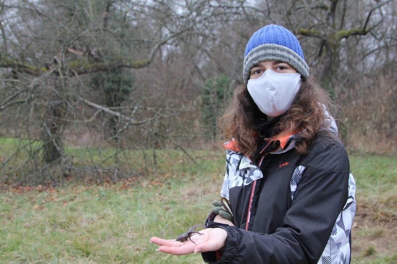 Frau mit Hirschkäfer in der Natur