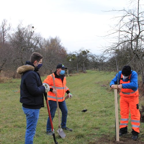 Baumpflanzaktion in Dettenheim