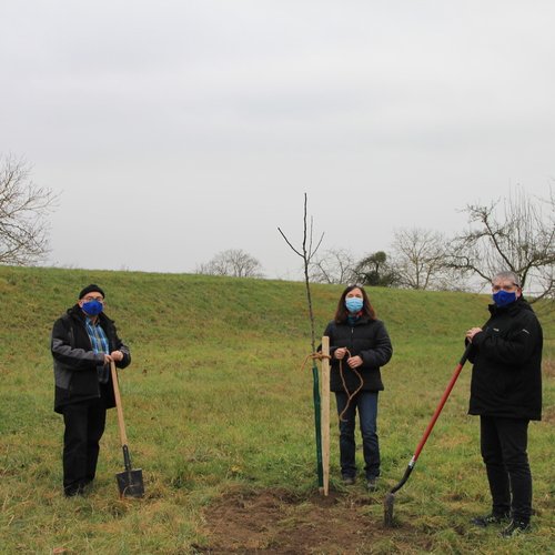 Baumpflanzaktion in Dettenheim