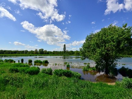 Außenaufnahme beim NABU Hambrücken