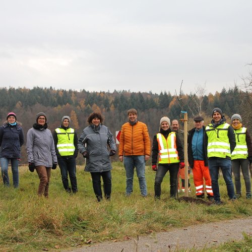 Zu sehen sind Helfer und Mitarbeiter der Erdgas Südwest beim Pflanzen eines Baumes