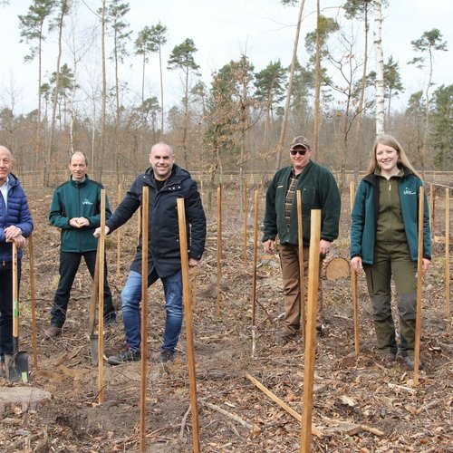 Man sieht ein Gruppenbild von einer Aufforstungsaktion