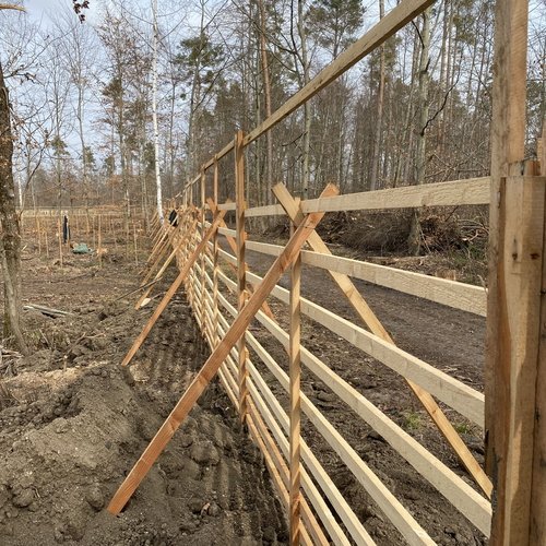 Man sieht ein Holzgatter bei einer Aufforstungsaktion