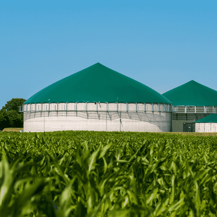 Die Biogasanlage wird mit Biomasse aus regionaler Erzeugung versorgt und erzeugt Biogas für die Region.