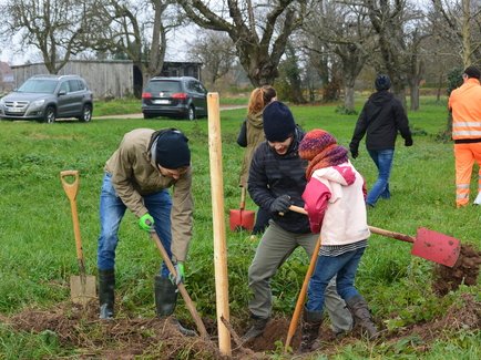 Fotos der Baumfplanzaktion der Erdgas Südwest