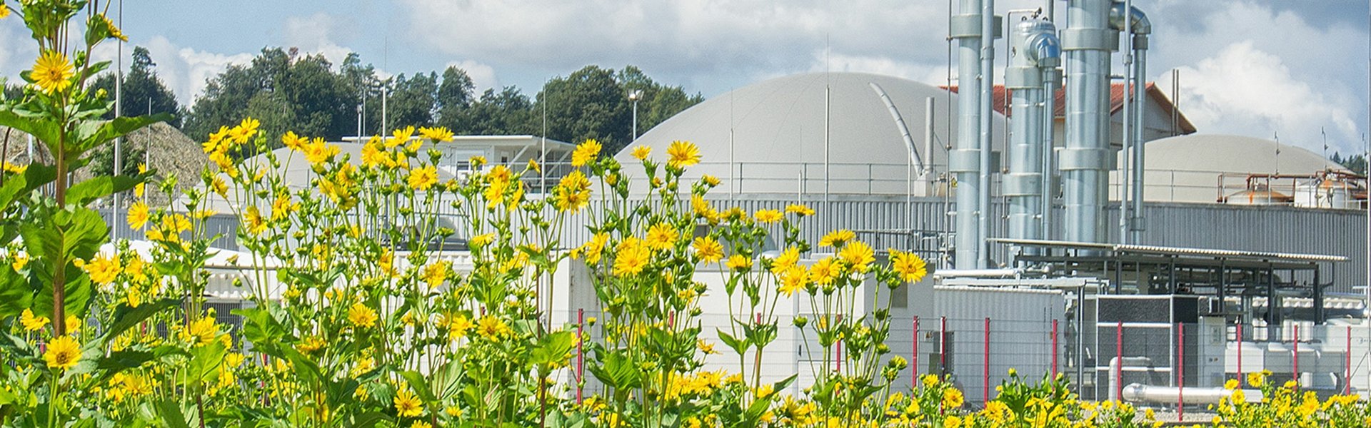 Energiepark Biomethangas Hahnennest GmbH: Anlage mit gelben Blumen im Vordergrund