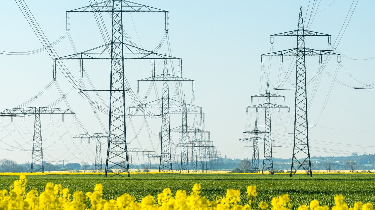 Stromleitungen und Strommasten, die über einen blühenden, grünen Acker führen