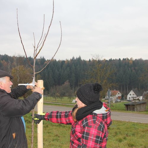 Zu sehen sind Helfer und Mitarbeiter der Erdgas Südwest beim Pflanzen eines Baumes