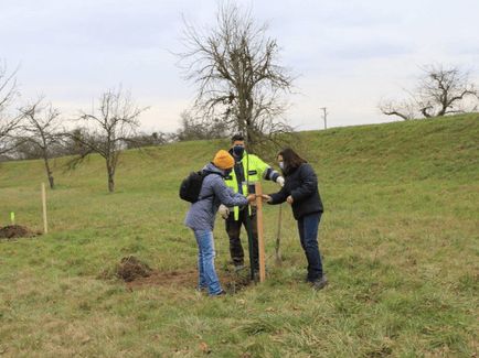 Fotos der Baumfplanzaktion der Erdgas Südwest