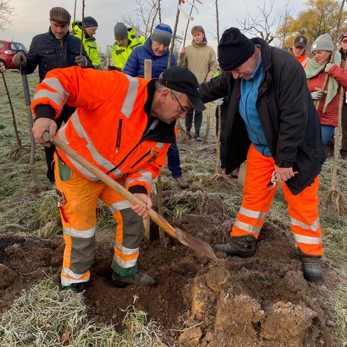 Mitarbeiter der Erdgas Südwest mit Helfern bei einer Baumpflanzaktion