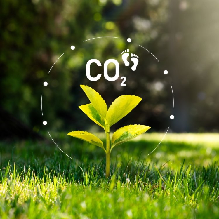 Der ökologische Fußabdruck beschreibt die CO2-Emissonen eines Einzelnen oder Unternehmens.