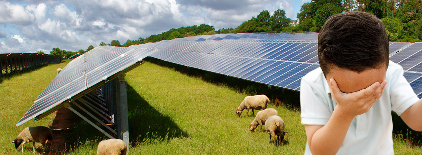 10 Mythen über Photovoltaik - natürlichZukunft